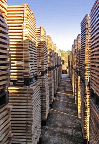 Gestion du bois contrôlée